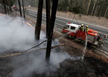 (News) Here’s How You Can Donate to Australian Fires