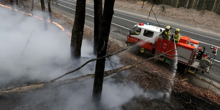 (News) Here’s How You Can Donate to Australian Fires