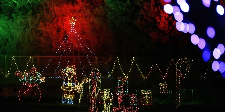 (Local) Don’t Miss The Maine Celebration Of Lights