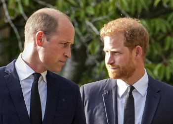 (News) Prince Harry Details Physical Fight with Brother Prince William in Upcoming Book
