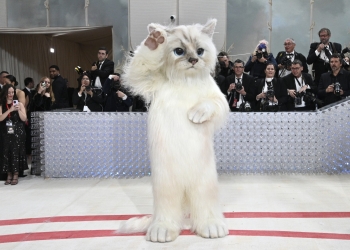 Met Gala 2023 Highlights