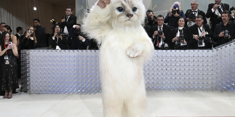 Met Gala 2023 Highlights