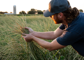 Allagash Is Teaming Up With Patagonia For A Good Grain Collaborative Program