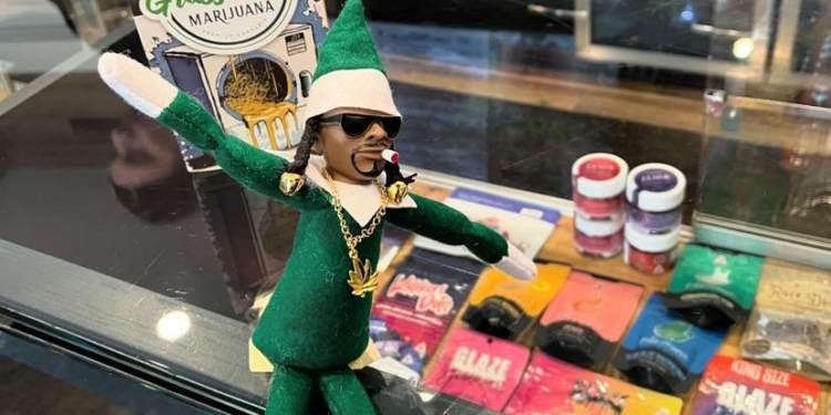 Four Twenty Broadcast at Grass Roots Marijuana Portland