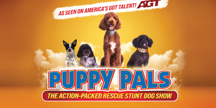 Win Puppy Pals Tickets