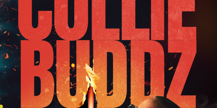 See Collie Buddz in Hampton Beach