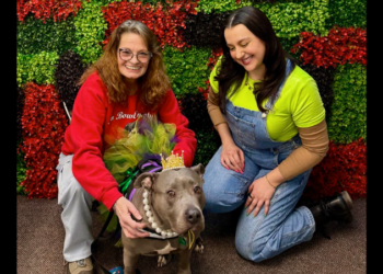 No Bowl Empty Founder Nadine Molloy on Helping Thousands of Pets in Need