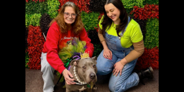 No Bowl Empty Founder Nadine Molloy on Helping Thousands of Pets in Need