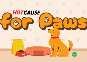 Hot Cause for Paws: Pet Food & Supply Drive to Support Local Animals in Need