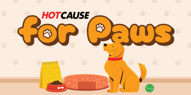 Hot Cause for Paws: Pet Food & Supply Drive to Support Local Animals in Need