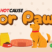 Hot Cause for Paws: Pet Food & Supply Drive to Support Local Animals in Need