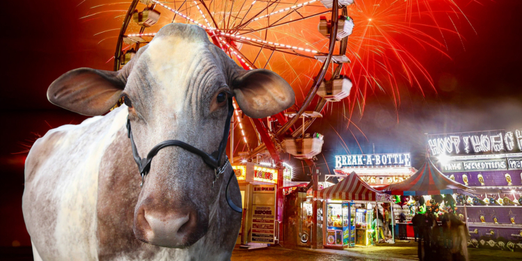 Win Cumberland County Fair Tickets
