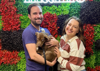 Meet Wonton & Help Hayley Raise Money for the Animal Refuge League